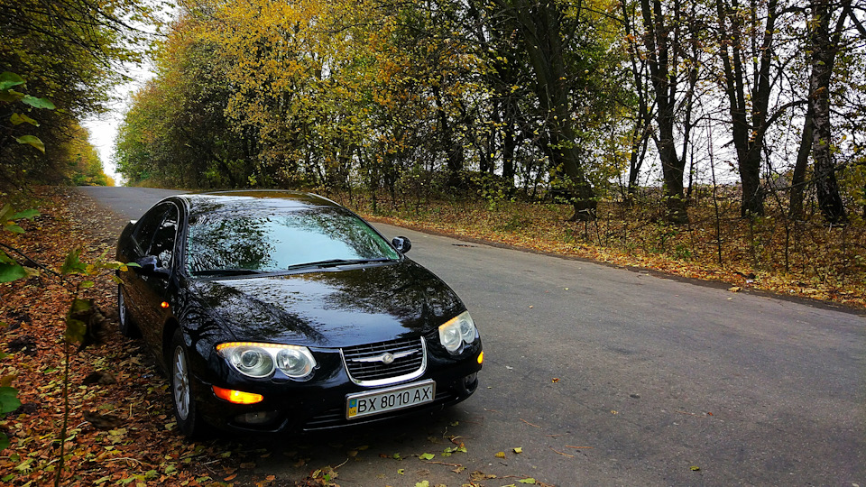 Настрій осінь 🍁🍃🍂 1