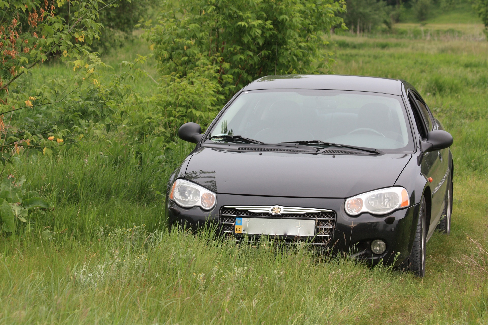 Запис, 1 червня 2010 року 3