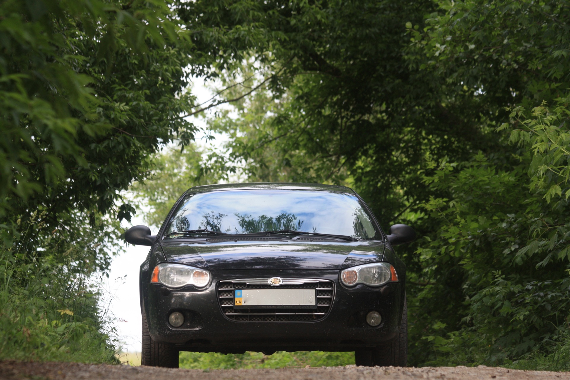 Запис, 1 червня 2010 року 1