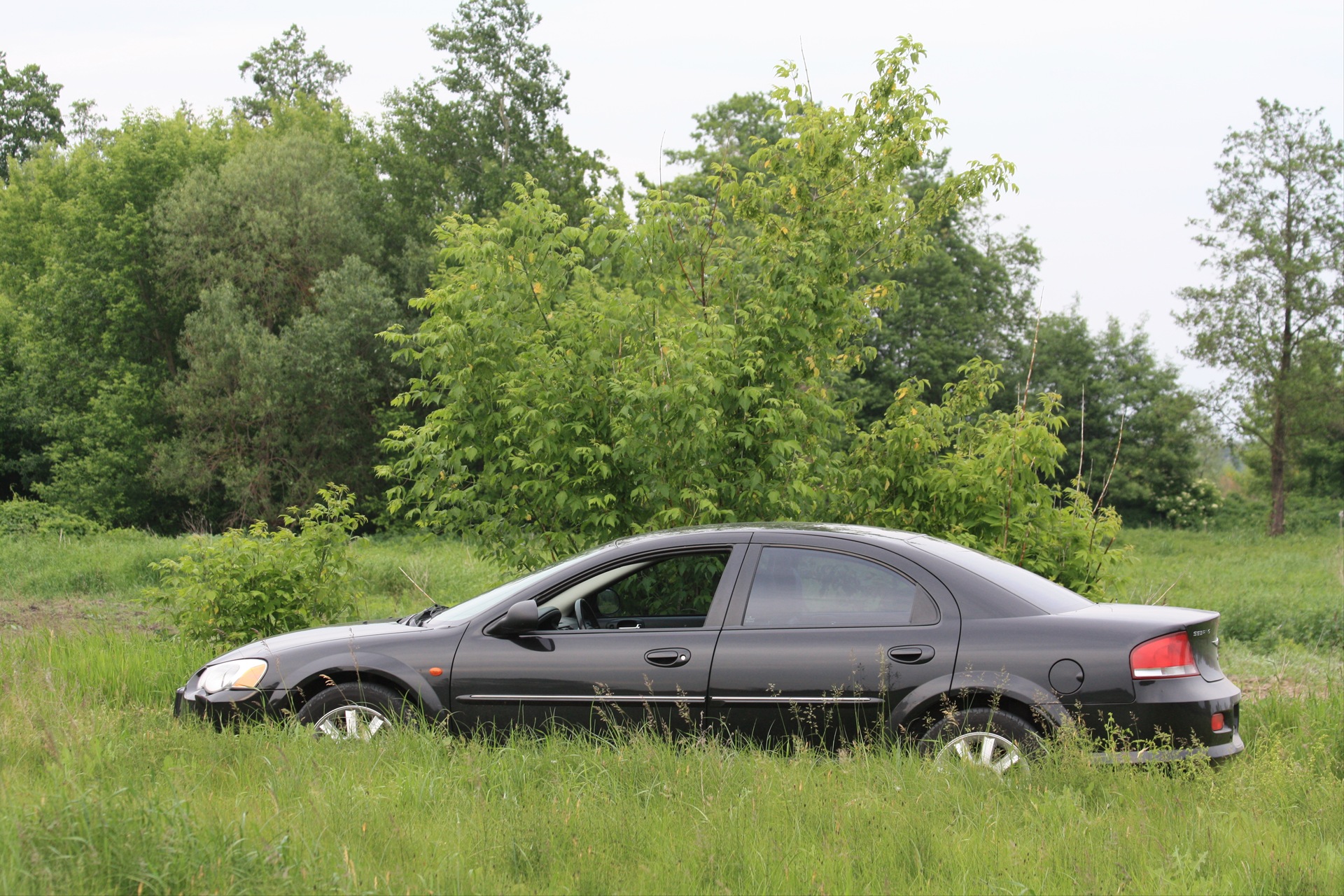 Запис, 1 червня 2010 року 4