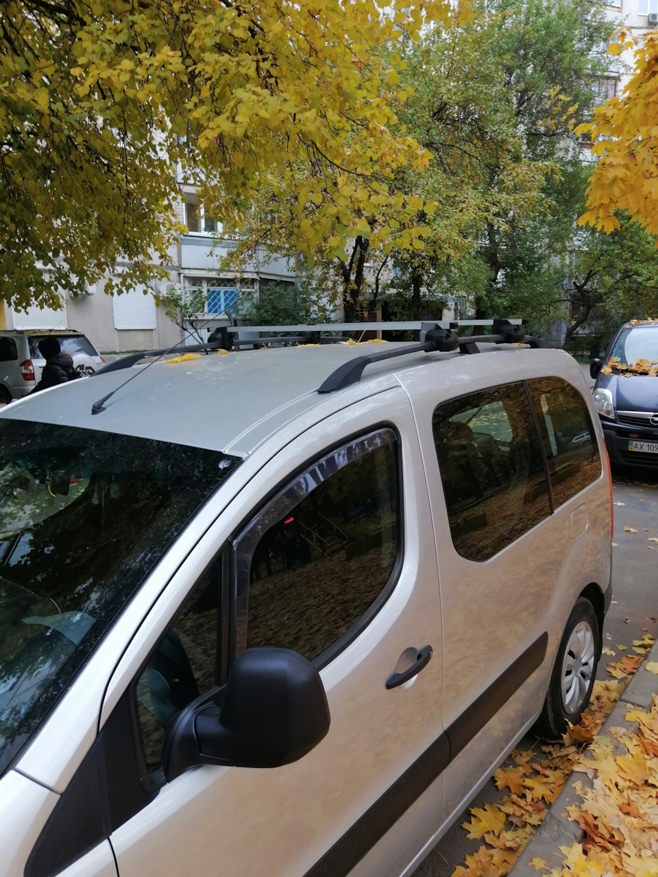 Рейлінги та багажник Citroen Berlingo B9 відновлення… 2