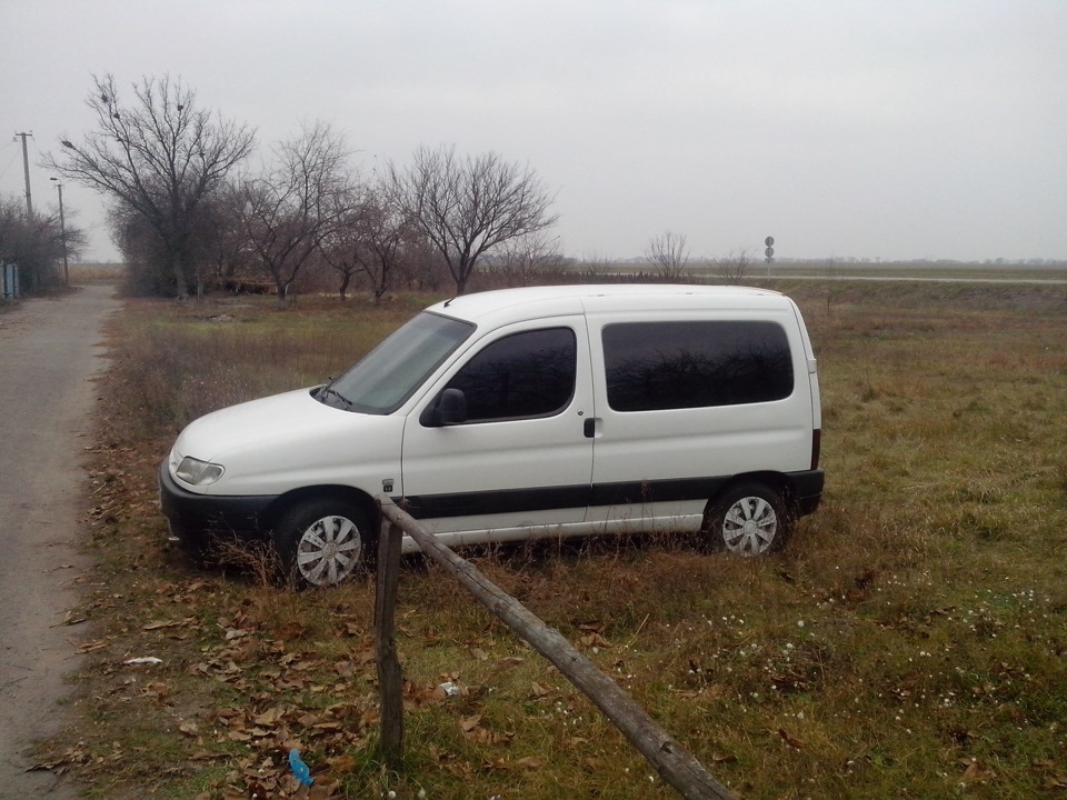 Пара фоток 3