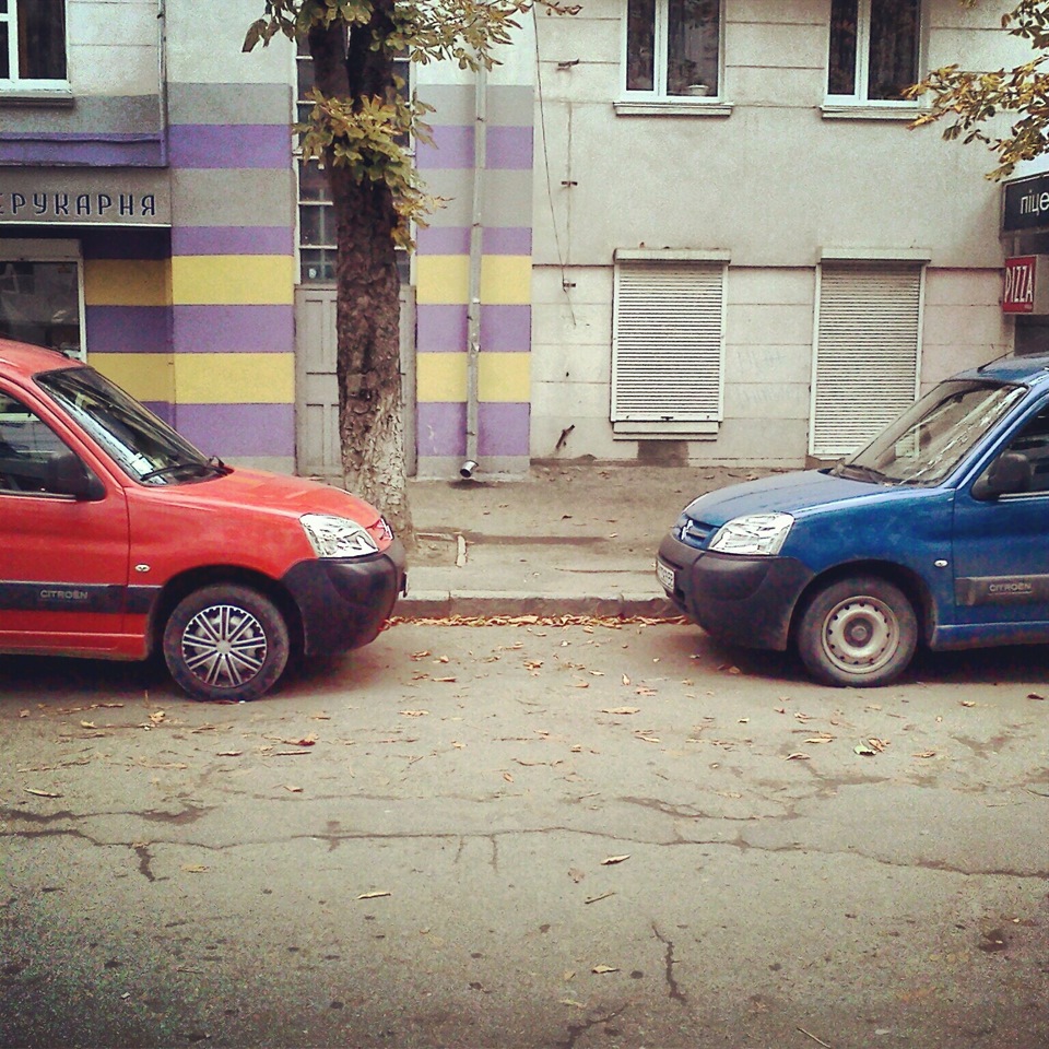 інь і ян 1