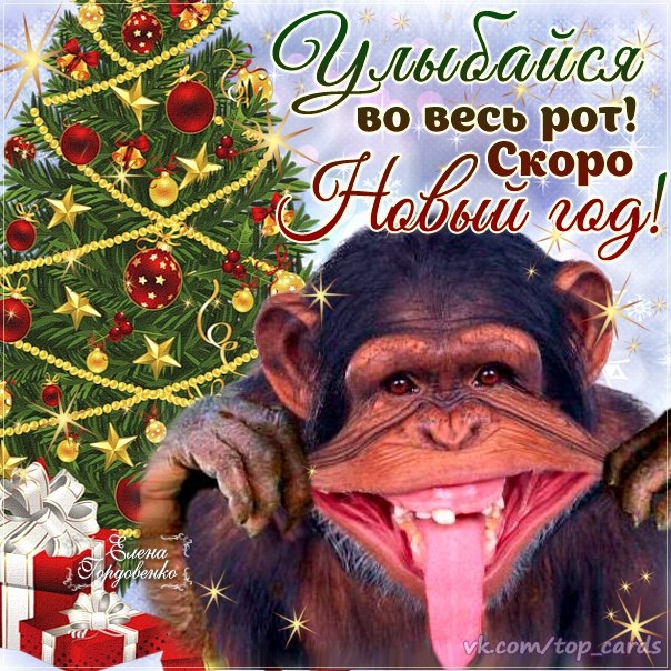 всіх з новим роком 1