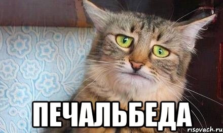 Неприємність… Печаль… 4