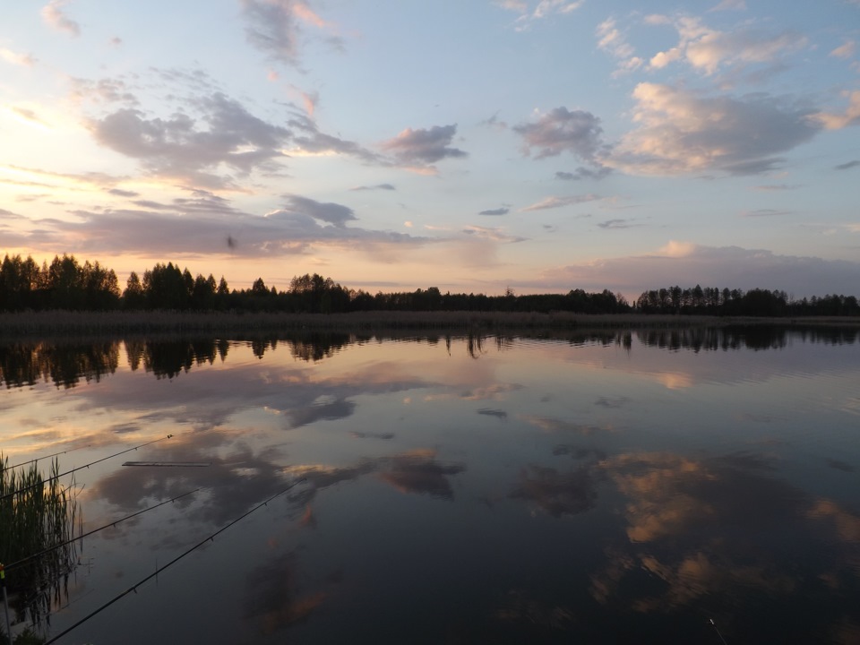 Майовка, риболовля і просто природа 3