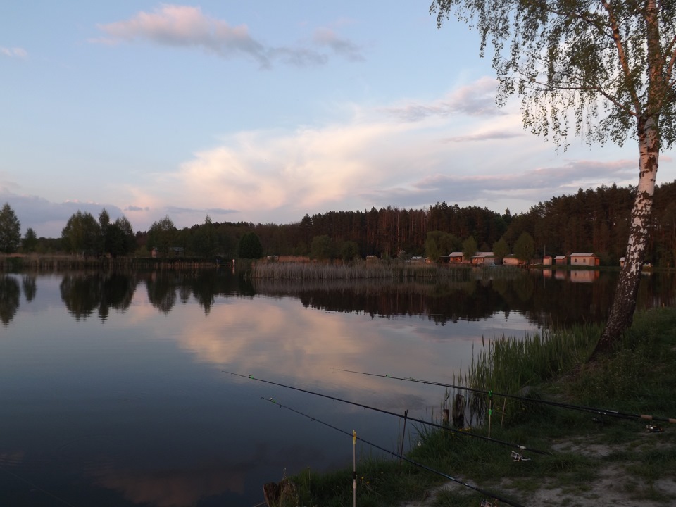 Майовка, риболовля і просто природа 4