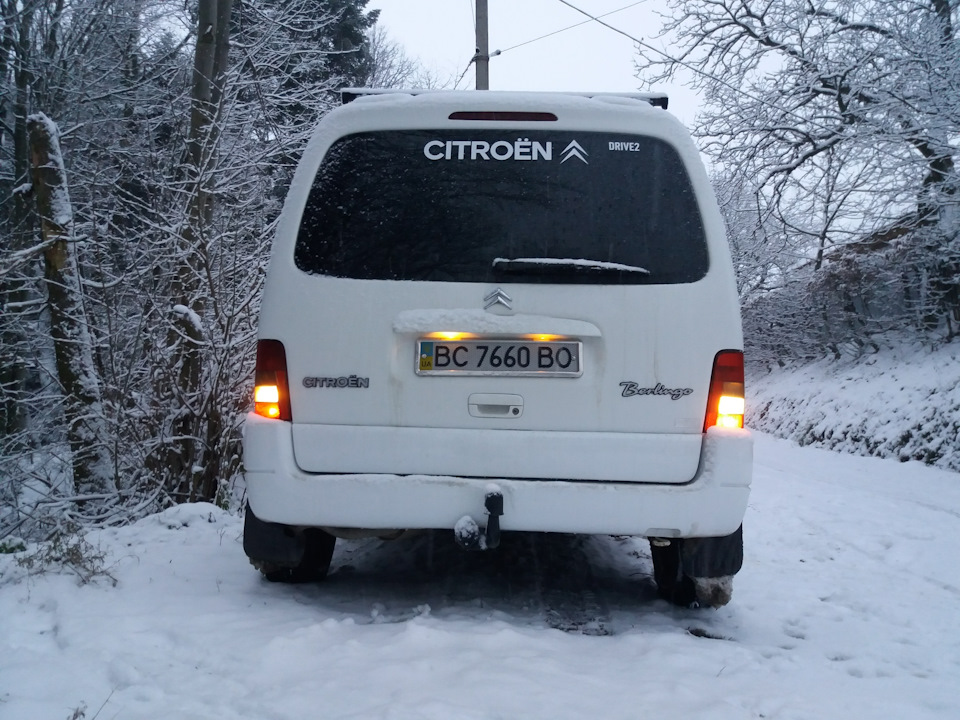 Перший сніг🌨🌨❄ 5