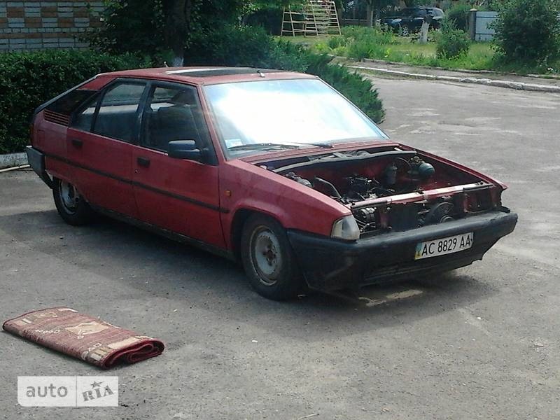 ще паро фото 5