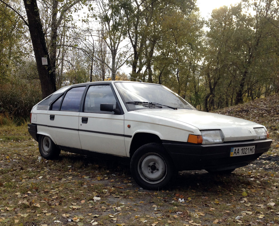 Осінній BX 1
