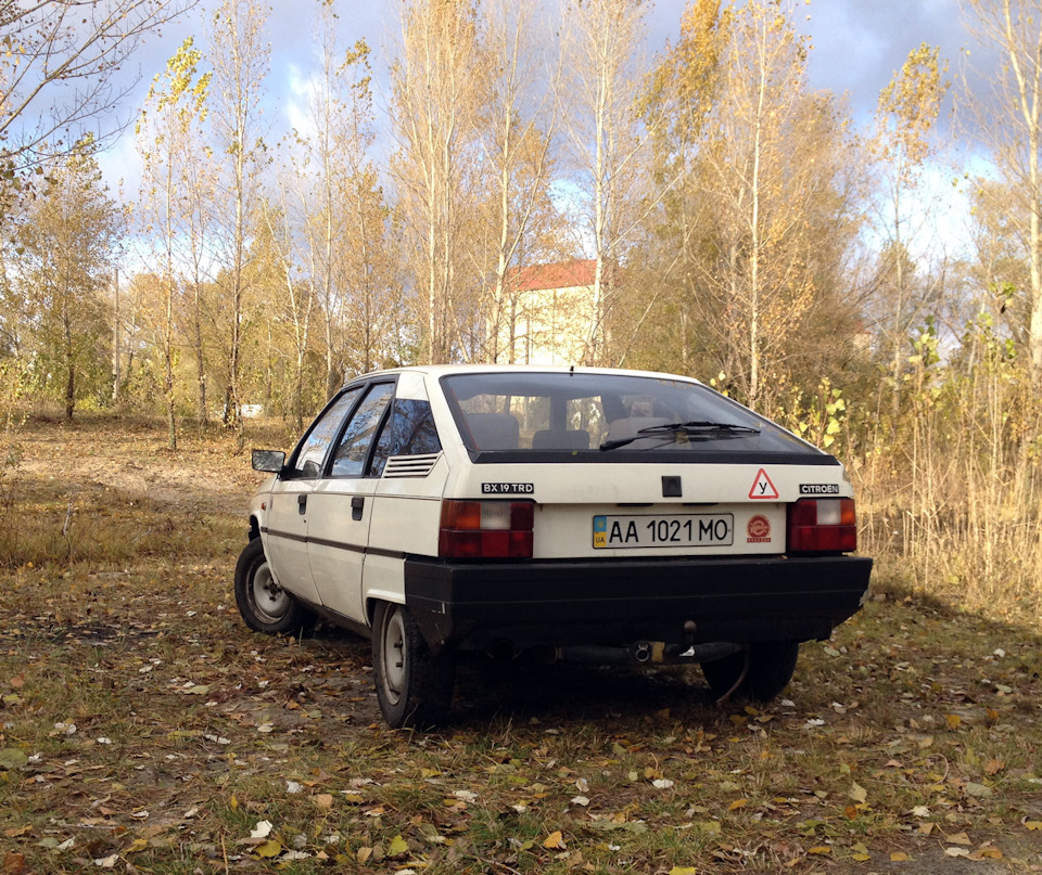 Осінній BX 2
