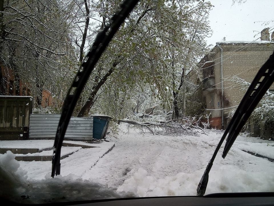 Хтось, скажіть вже зимі, що час ... 1