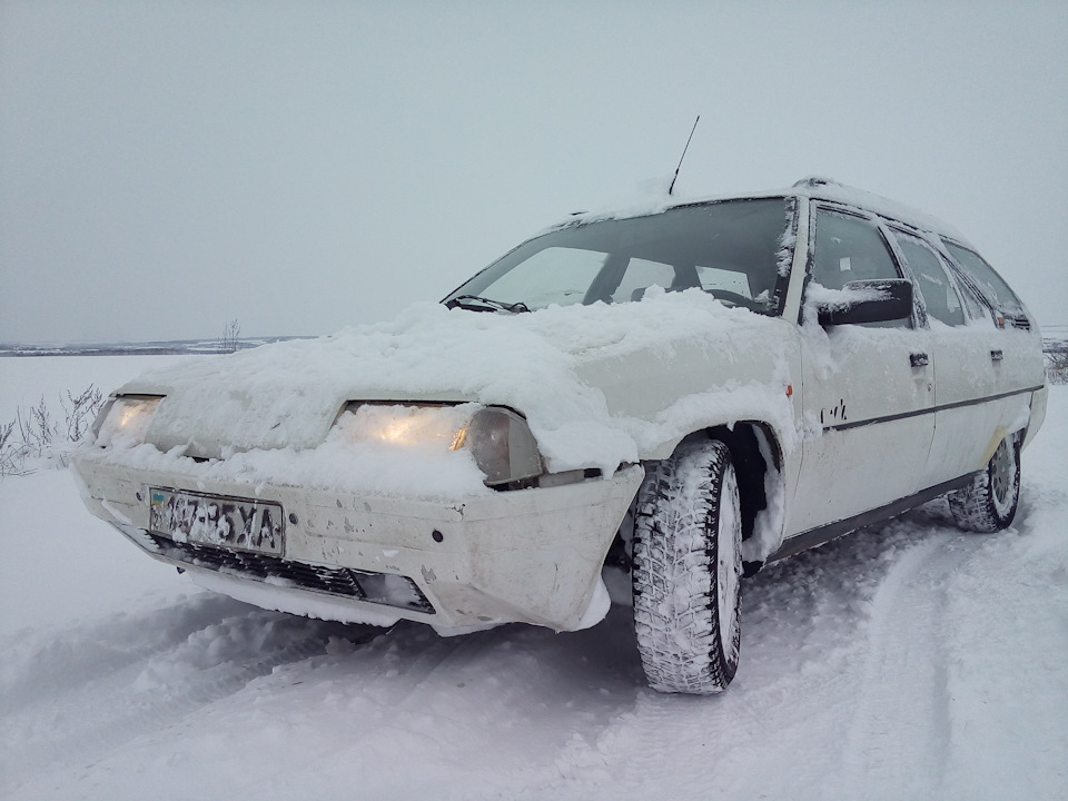 Зимові 5