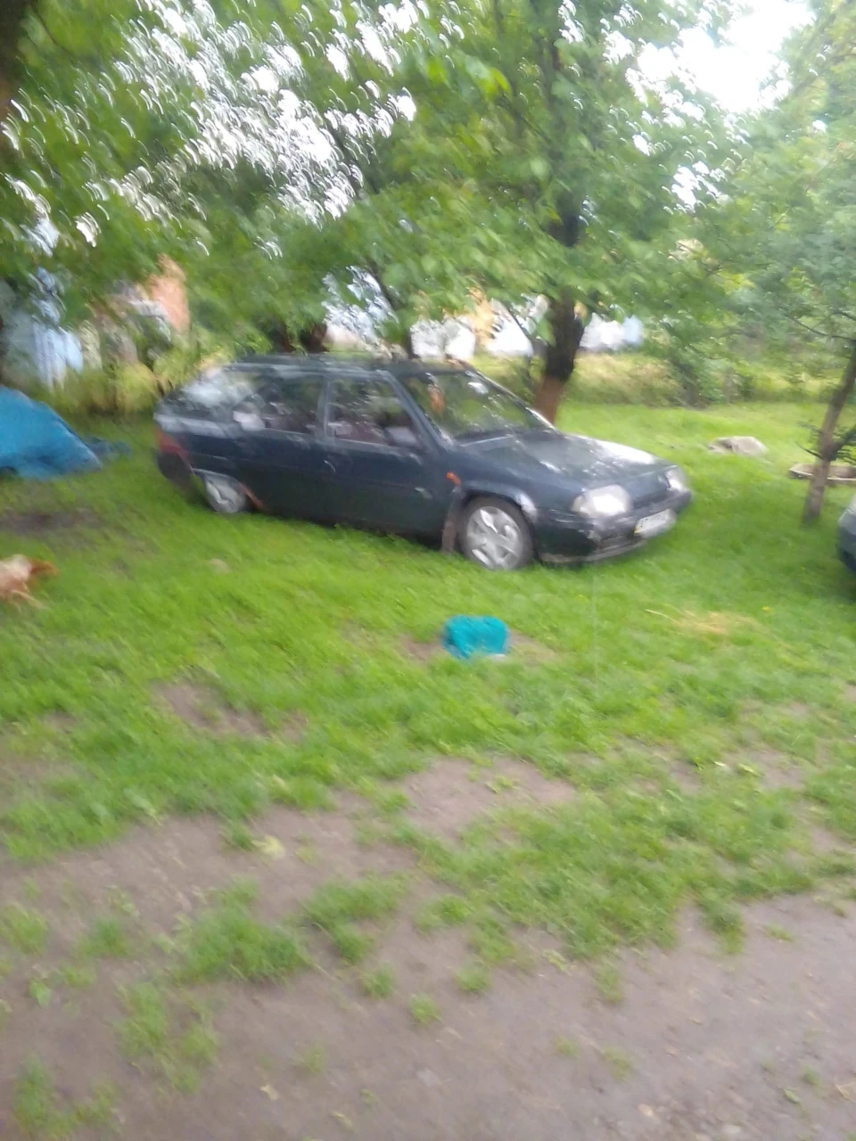 Перехрещення