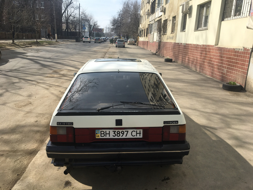 Весняний марафет 1
