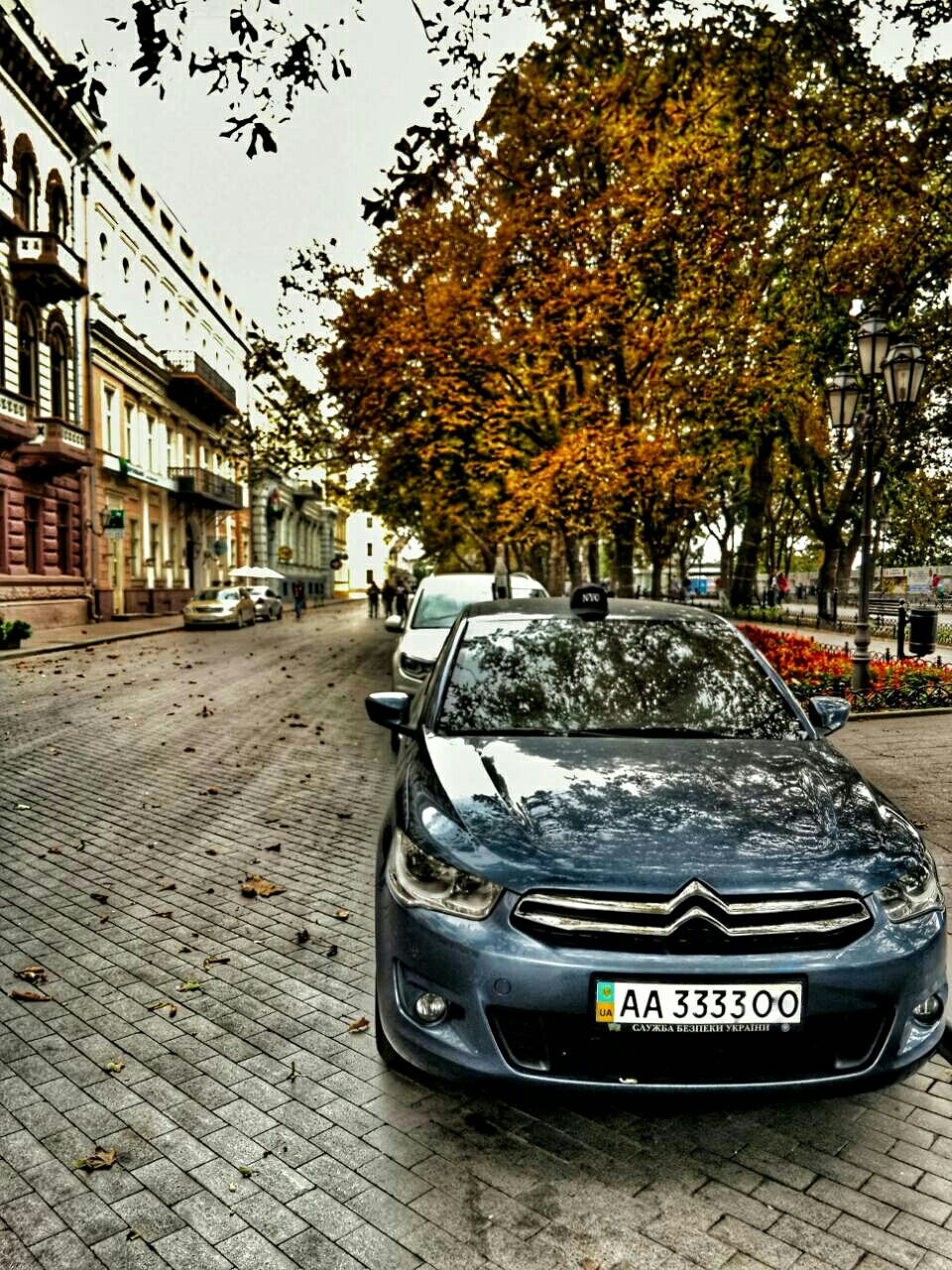 Потрібна РАДА! 1