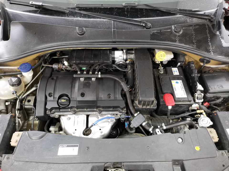 Встановлення ГБО на Citroen C-Elysee 1.6 2019 р.в. 3