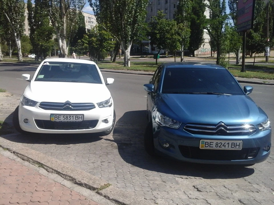 Зустрів братика