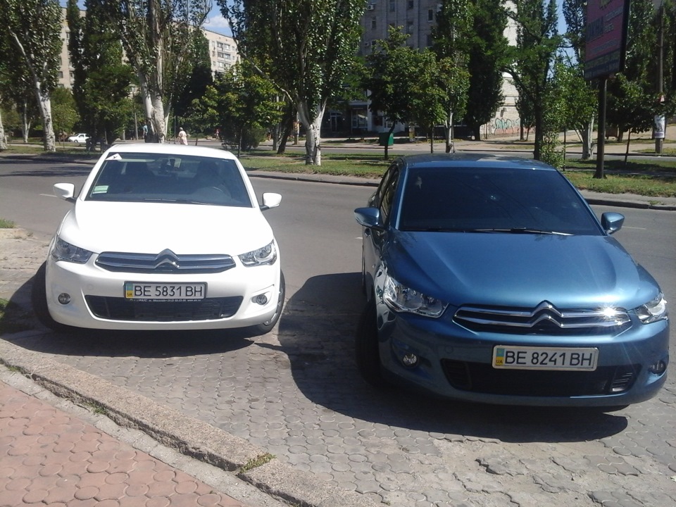 Зустрів братика 1