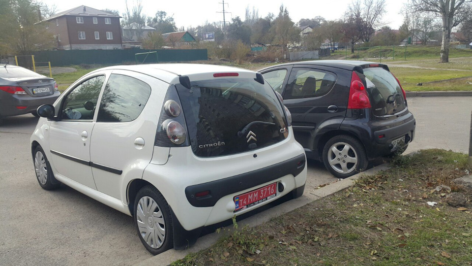 кум кума 2
