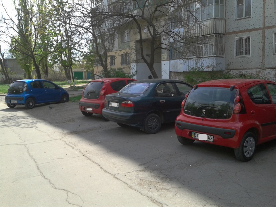 Весна прийшла, а з нею букашки ... 5