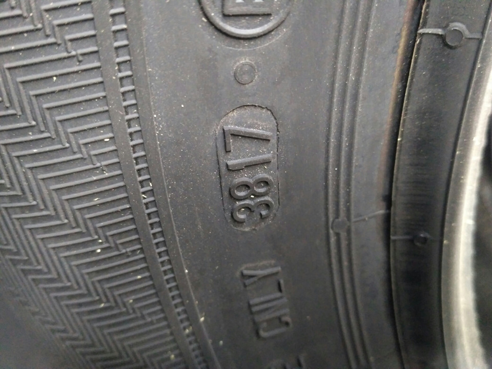 Свіжак 3