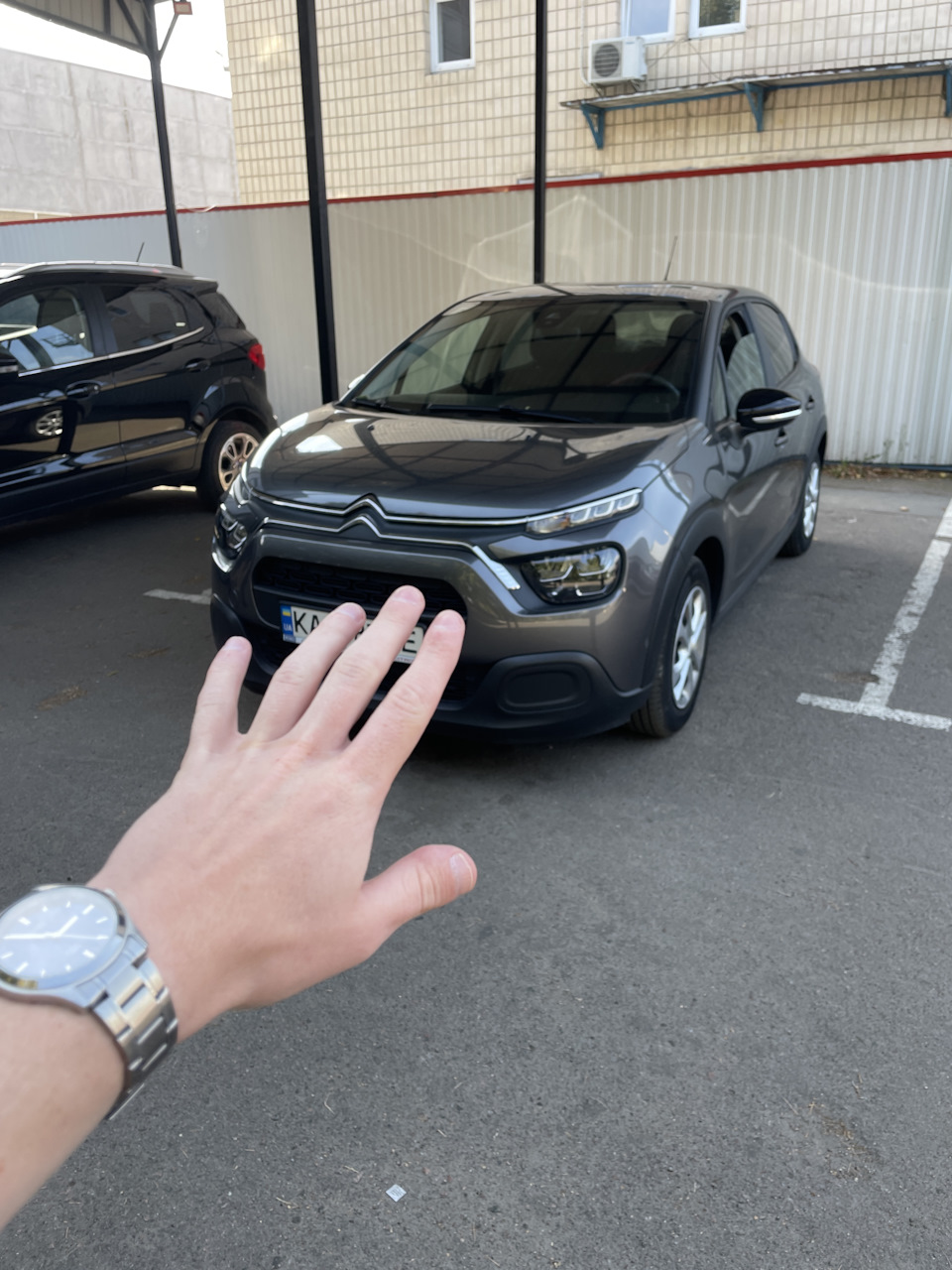 Прощавай красуня 1