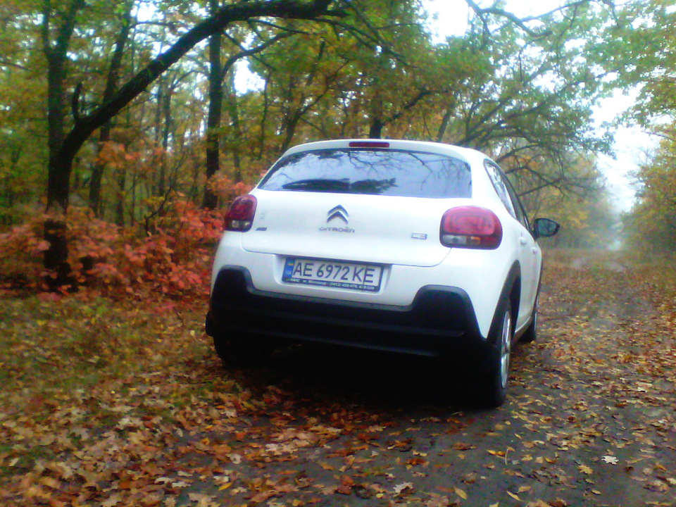 РАНКОВИЙ ФОТОСЕТ У ЛІСУ. 4