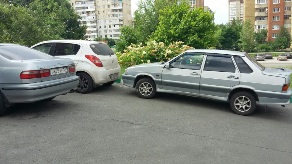 Ахтунг! Ведмеді поряд! 1