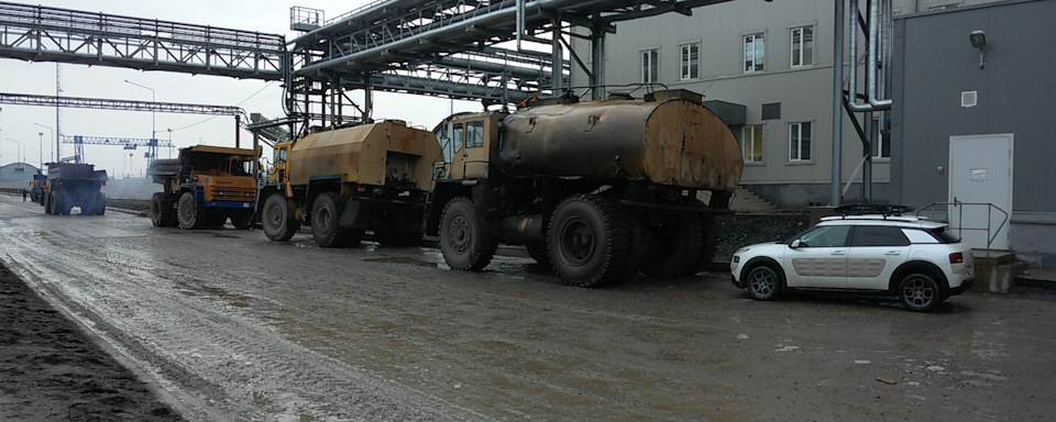Кактус серед Баобабів 2