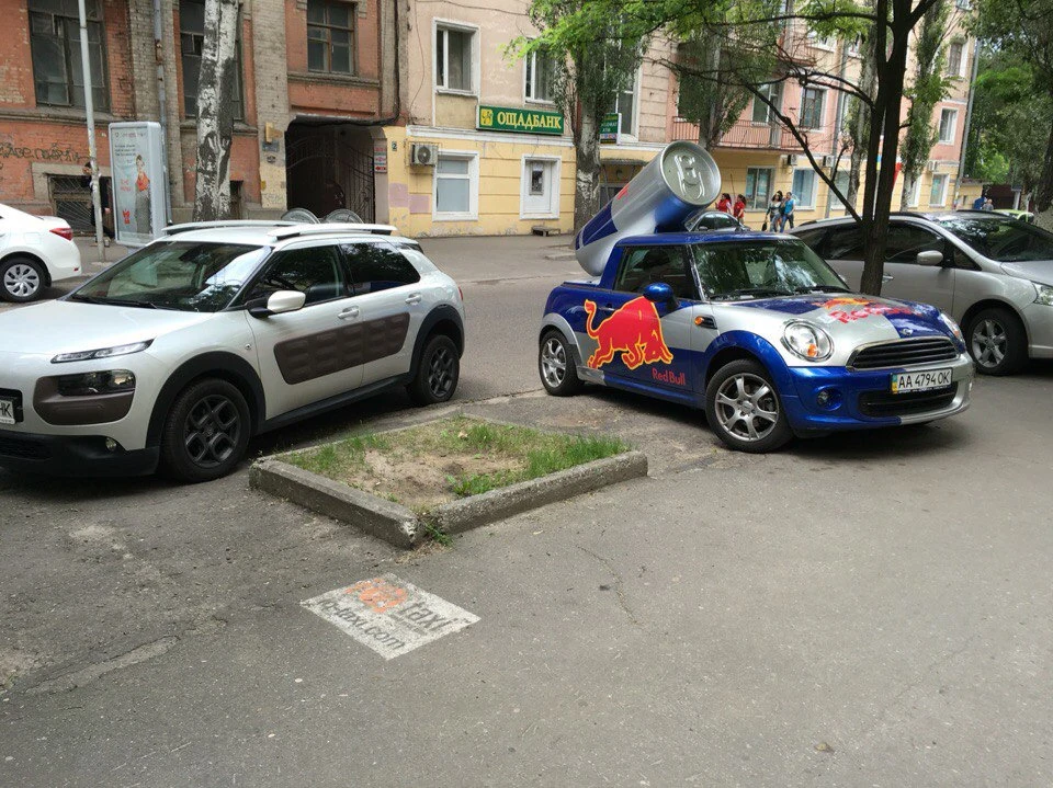 Кактус і міні