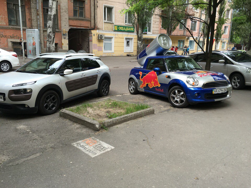 Кактус і міні 1