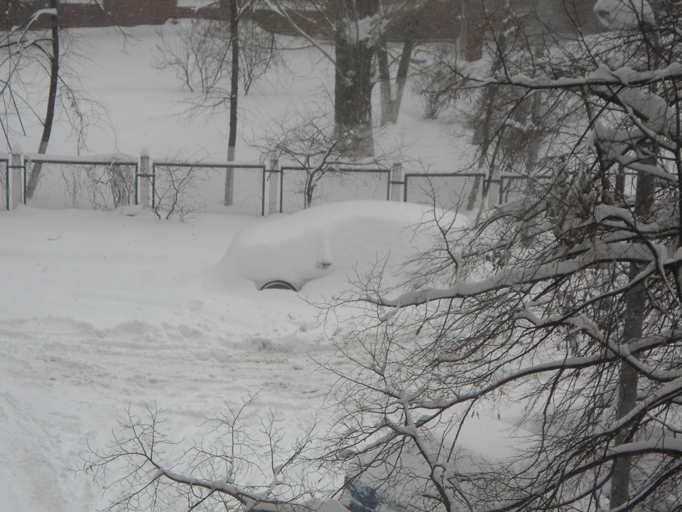 Снігопад 23-25.03.2013 у Києві 1