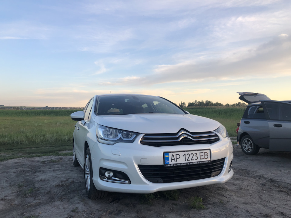 Олія в коробці 2