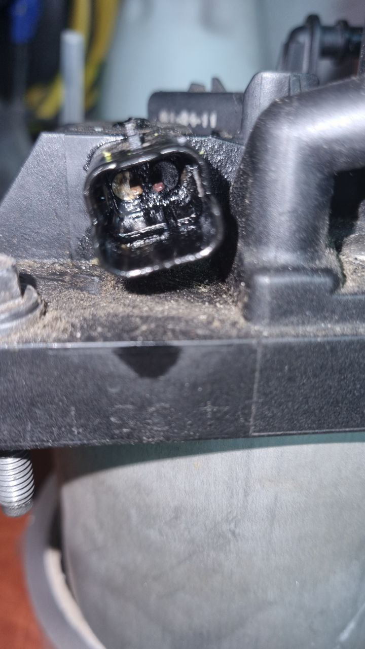 C4 B7 1.6 HDi помилки p1166, p0087 2