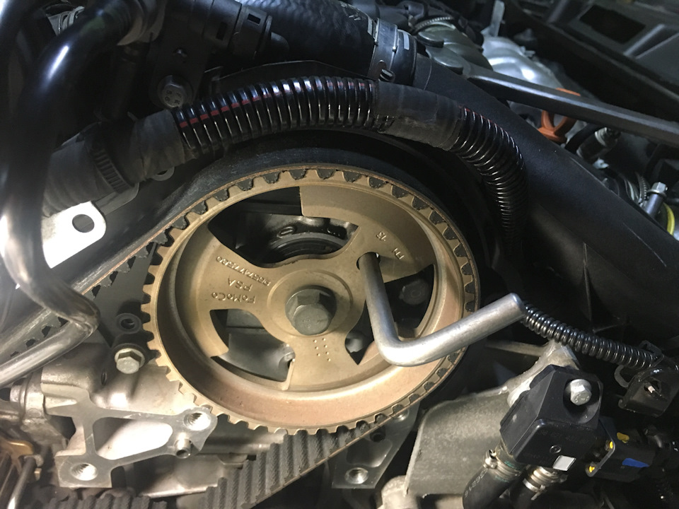 Заміна ременя ГРМ та роликів на 1.6 e-hdi. Комплект GATES power grip kit K015656XS 4