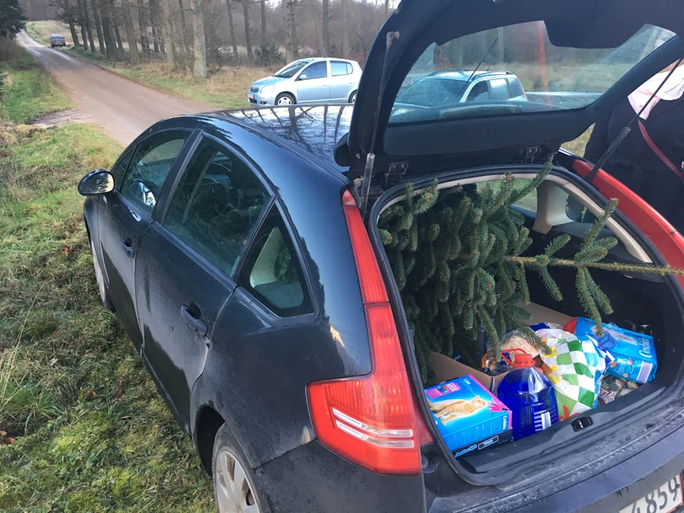Ялковоз🌲🚗