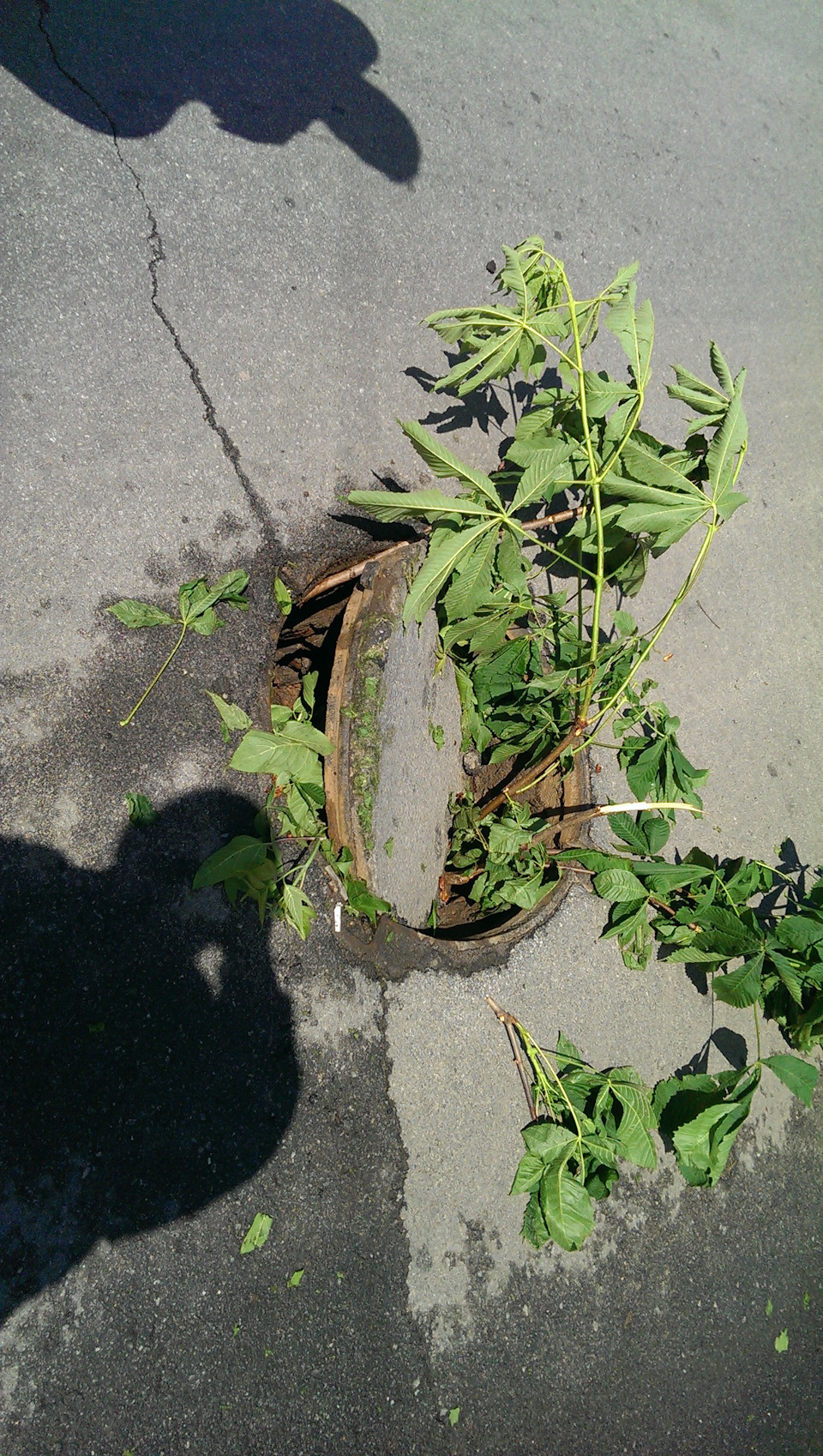 Ех дороги, дороги ... 2