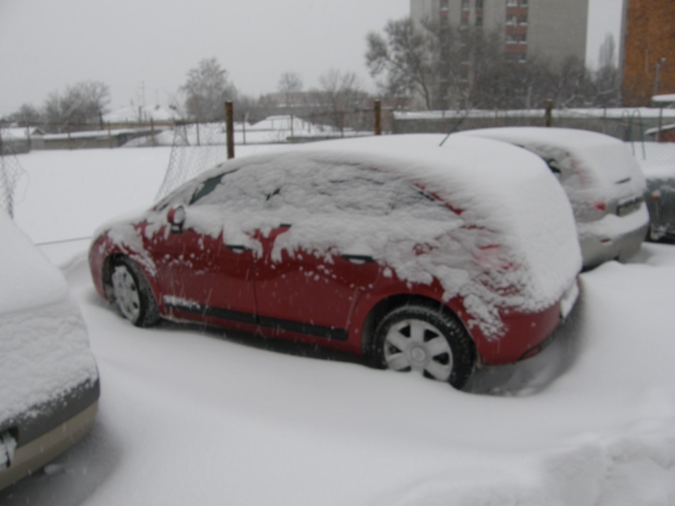 невдаха покотушка 1