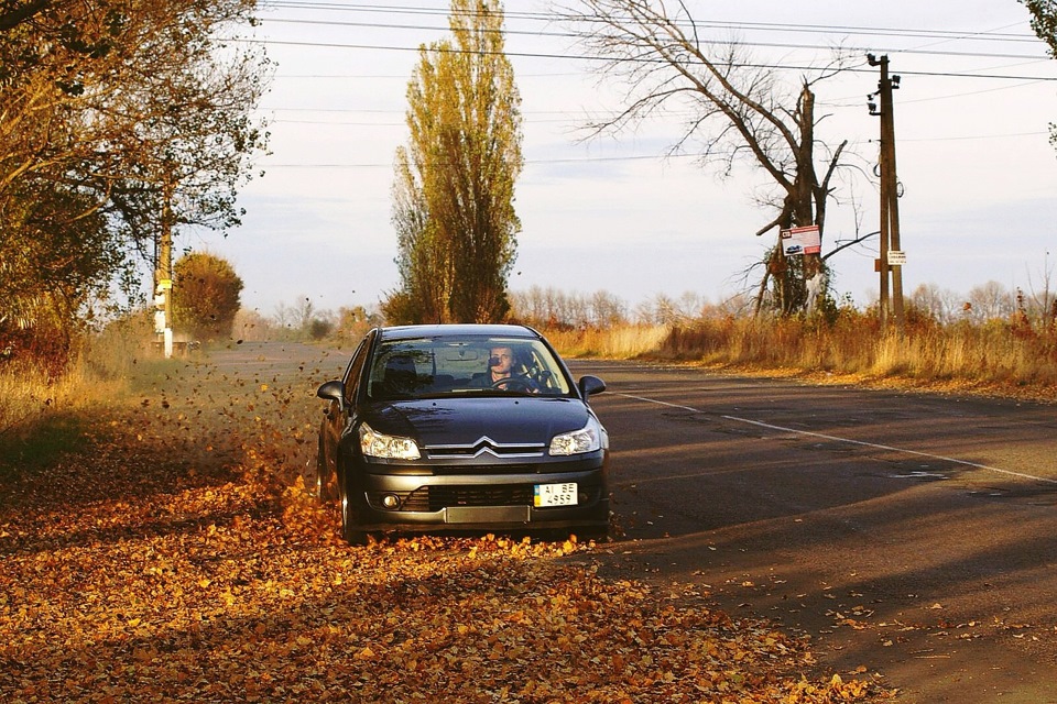 Autumn 2