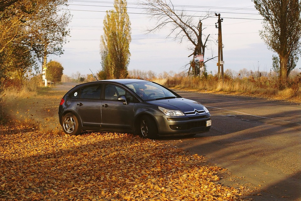 Autumn 1