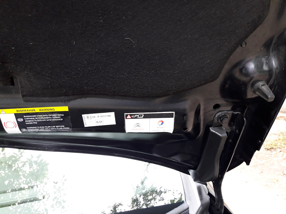 Citroen c4 B7 капот, заміна 1