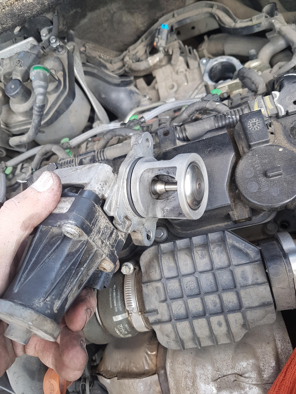 Відключай EGR говорили вони. 3