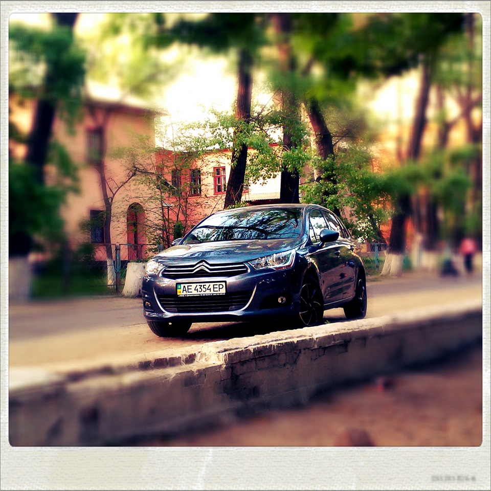 нолароїд 1