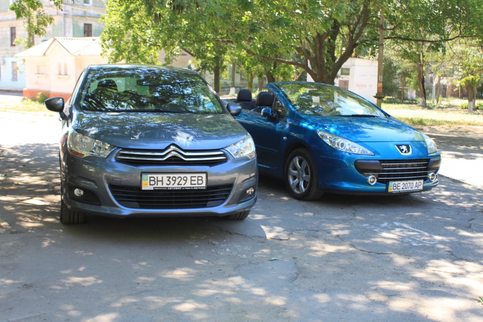 Ось і зустрілися дві французькі самотності… 2