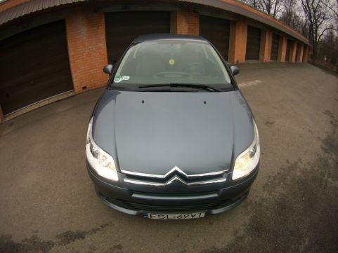 Власне продаємо французика 4