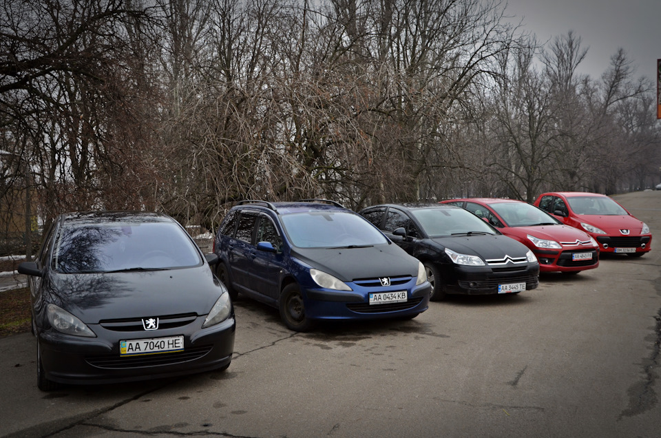 France Club Київ - зустріч 31.03.2018 4