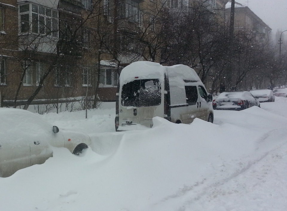 Одна година розкопок 5