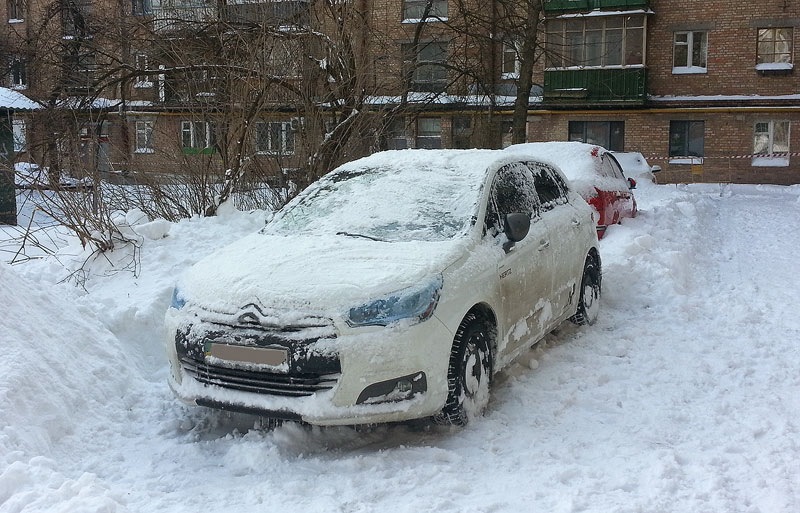 Одна година розкопок 4