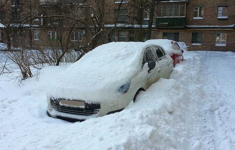 Одна година розкопок 2